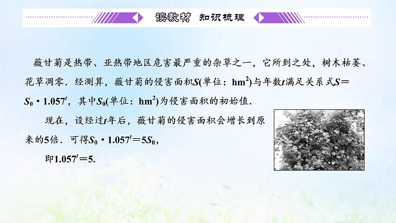 湘教版高中数学必修第一册第四章幂函数指数函数和对数函数3.1对数的概念课件04