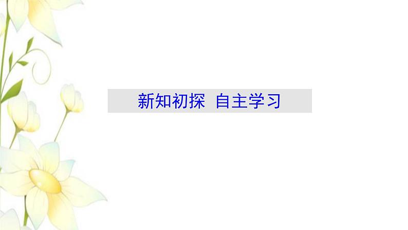新人教B版高中数学必修第一册第三章函数4数学建模活动:决定苹果的最佳出售时间点课件03
