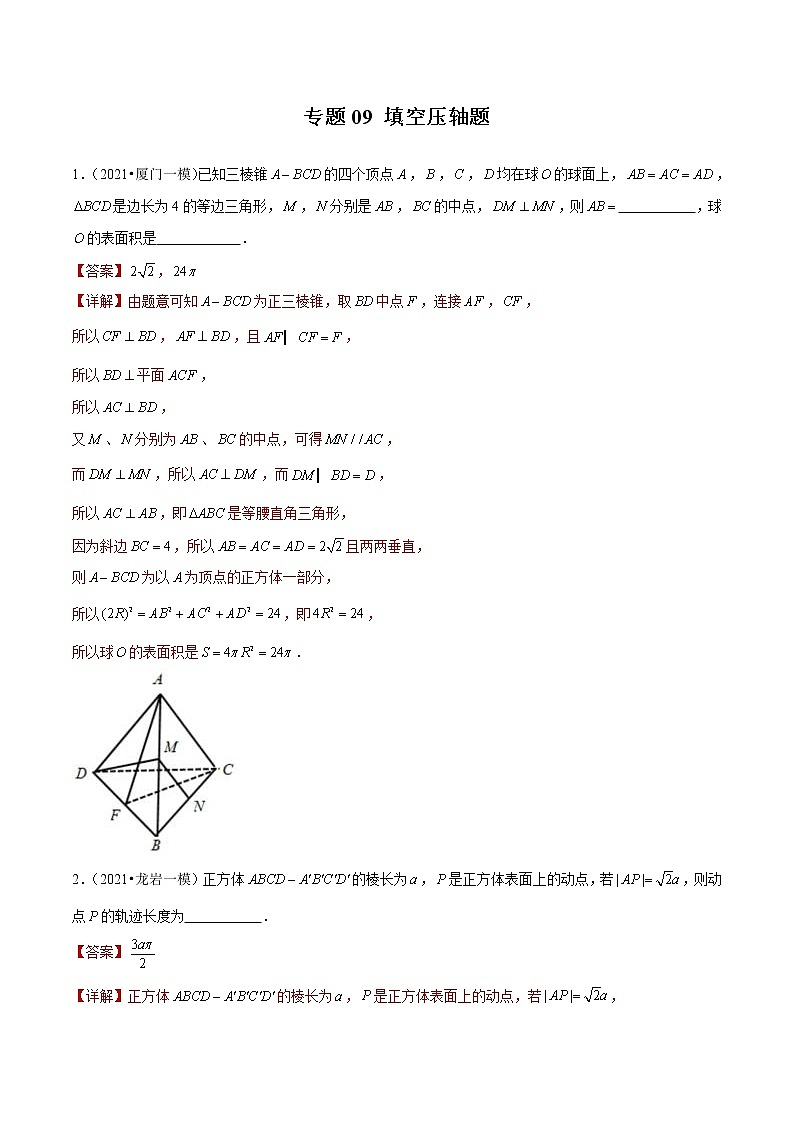 专题09 填空压轴题(解析版)第1页