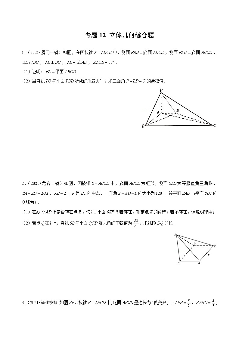 专题12 立体几何综合题(原卷版)第1页