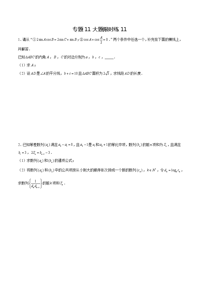 专题11 【大题限时练11】-备战2022年山东高考数学满分限时题集(原卷版)第1页