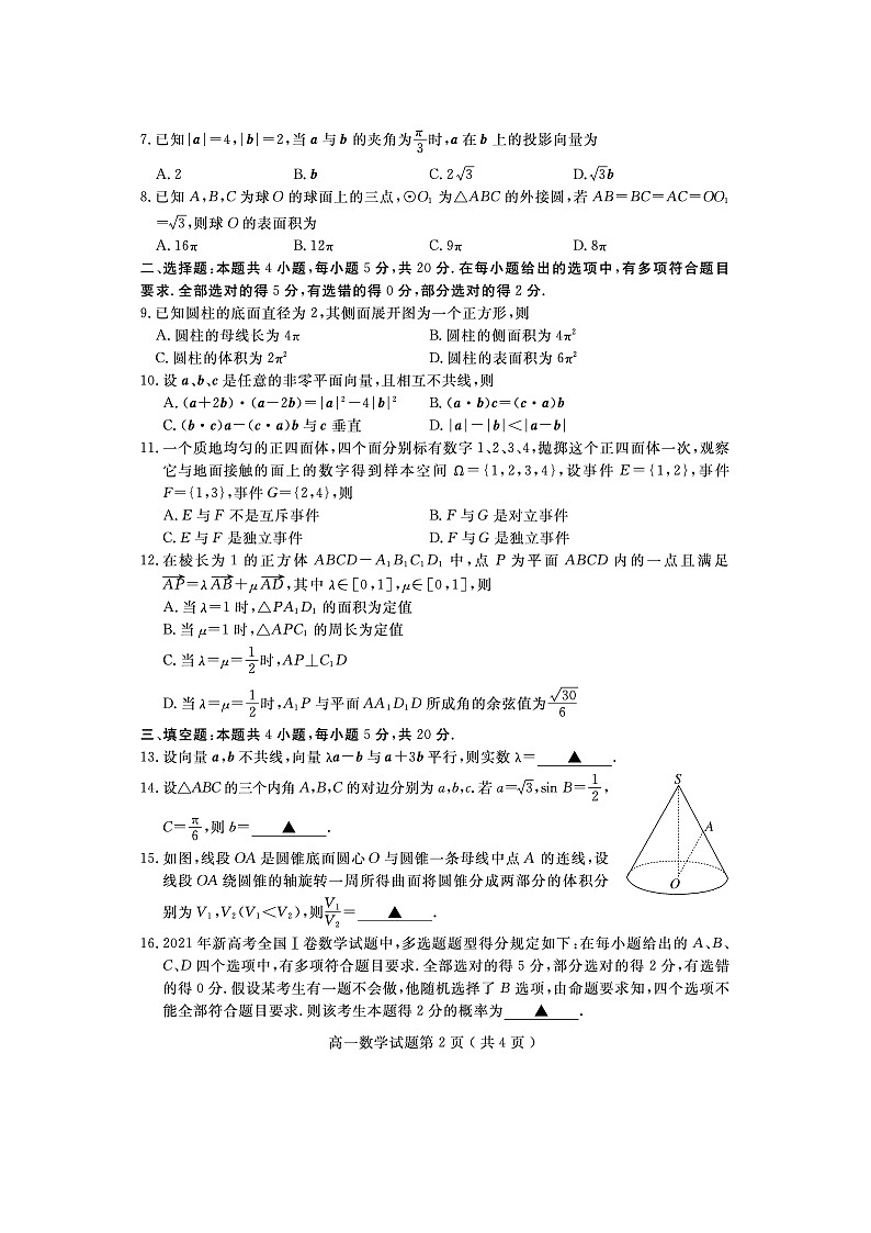 山东省济宁市2020-2021学年度高一下学期期末考试试题 数学 含答案第2页