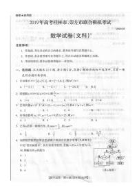 2019届广西桂林市、崇左市高三高考仿真模拟考试试数学（文）试卷（PDF版）