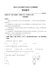 2020届湖北省武汉市高三毕业生五月质量检测数学（理）试题 PDF版