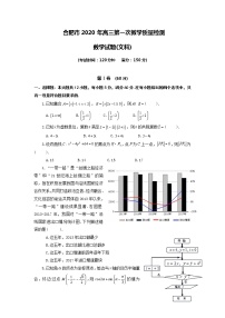 2020合肥高三第一次教学质量检测数学(文)试题含答案
