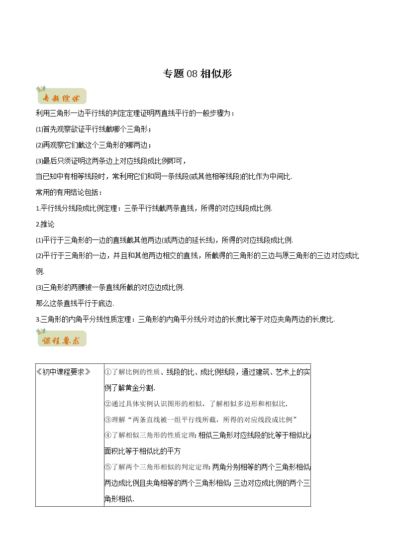 专题08相似形（教师版含解析）-2022年初升高数学衔接讲义（第1套）