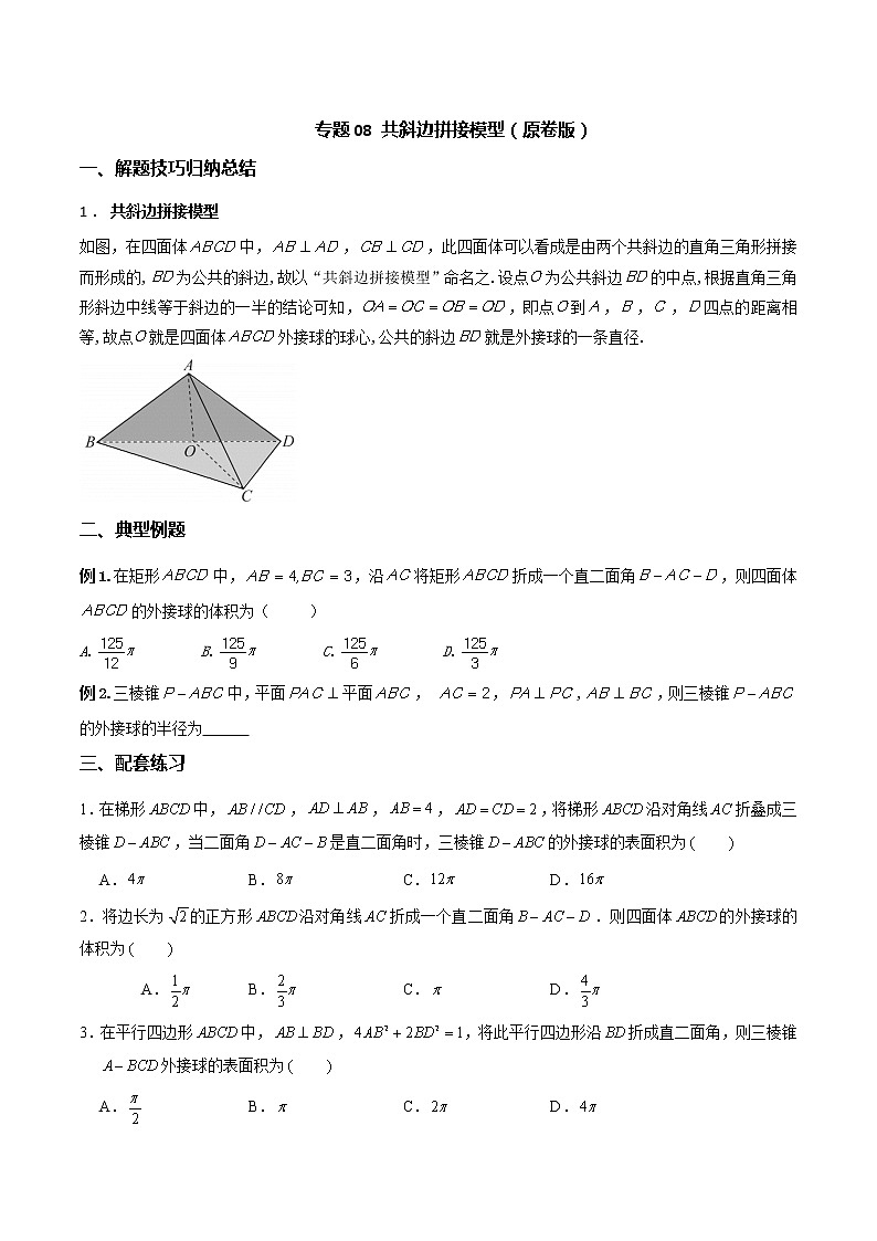 专题08 共斜边拼接模型(原卷版)第1页