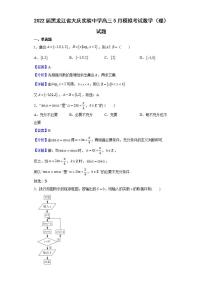 2022届黑龙江省大庆实验中学高三5月模拟考试数学（理）试题含解析