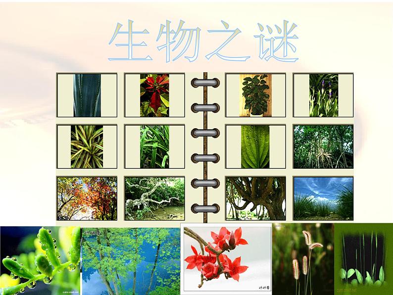高中数学开学第一课教学PPT课件(三)08