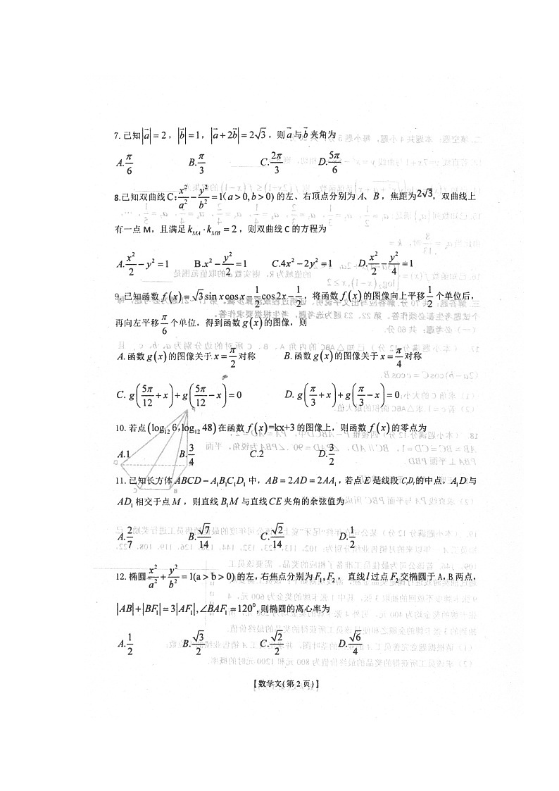 2020金科大联考高三12月月考数学(文)试题扫描版缺答案第2页