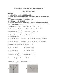 浙江省温州新力量联盟2022-2023学年高一数学上学期期中联考试题（Word版附答案）