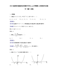 2023届陕西省榆林市绥德中学高三上学期第二次模拟考试数学（理）试题含解析