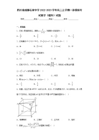 四川省成都石室中学2022-2023学年高三上学期一诊模拟考试数学（理科）试题及答案