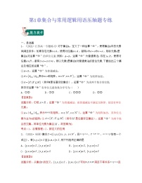 新高考第1章集合与常用逻辑用语(压轴题专练))高一数学上学期期中期末考试满分全攻略(人教A版2019)解析版