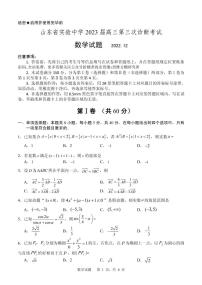 2023屆山東省實驗中學高三上學期12月第三次診斷考試數(shù)學試題 PDF版