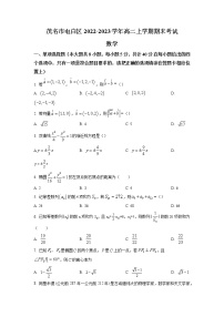 2022-2023学年广东省茂名市电白区高二上学期期末考试数学试题（含答案）