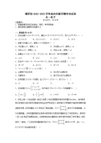 2022-2023学年广东省惠州市博罗县高一上学期期中考试数学试题