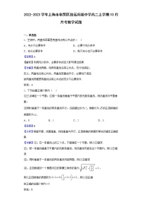 2022-2023学年上海市奉贤区致远高级中学高二上学期10月月考数学试题（解析版）