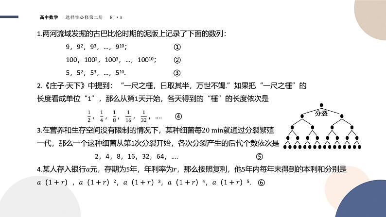 4.3 等比数列-4.3.1 等比数列的概念 第1课时(课件PPT)04