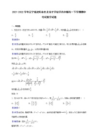 2021-2022學(xué)年遼寧省沈陽市東北育才學(xué)校學(xué)高中部高一下學(xué)期期中考試數(shù)學(xué)試題（解析版）