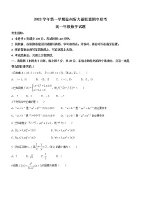 2022-2023学年浙江省温州新力量联盟高一上学期期中联考数学试题