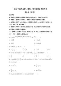 2023届广西玉林、贵港、贺州市高三联合调研考试（一模）数学（文）试题（PDF版含答案）