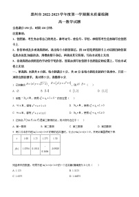 2023惠州高一上学期期末考试数学含答案