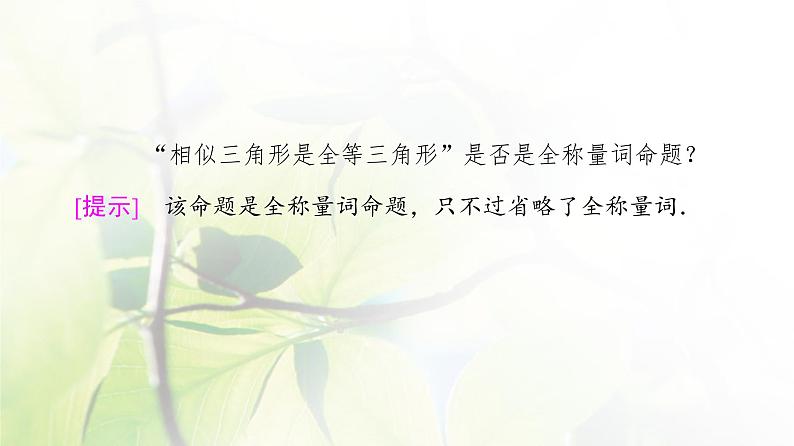 北师版高中数学必修第一册第1章§2 2-2全称量词与存在量词课件06