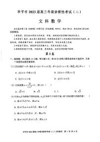 2023届贵州省毕节市高三二模文科数学试题及答案