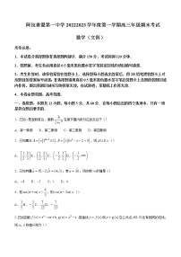 2022-2023学年内蒙古阿拉善盟第一中学高三上学期期末考试数学（理科）试题含答案