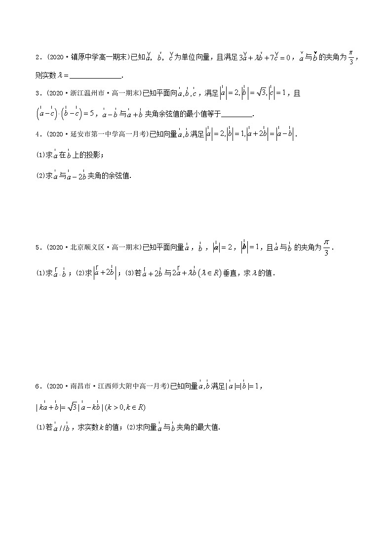 高中數(shù)學(xué)新教材同步講義(必修第二冊(cè)) 6.2.2 平面向量的數(shù)量積(精練) (學(xué)生版)第3頁(yè)