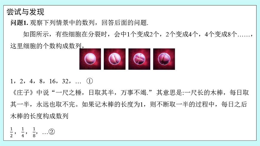 人教B版高二數(shù)學(xué)選擇性必修第三冊(cè)5.3.1《等比數(shù)列》課件第3頁