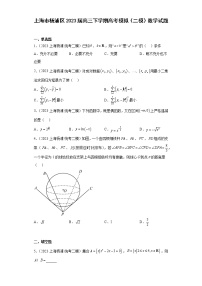 上海市杨浦区2023届高三下学期高考模拟（二模）数学试题(含解析）