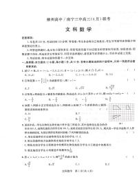 柳州高中南宁三中高三（4月）联考文科数学试卷附答案