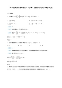 2023届内蒙古赤峰市高三上学期1月模拟考试数学（理）试题含解析