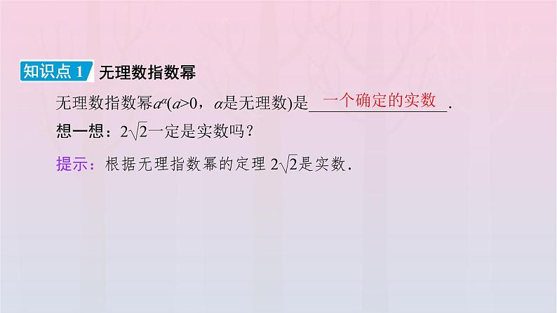 新教材2023年高中数学第4章指数函数与对数函数4.1指数4.1.2无理数指数幂及其运算性质课件新人教A版必修第一册第5页