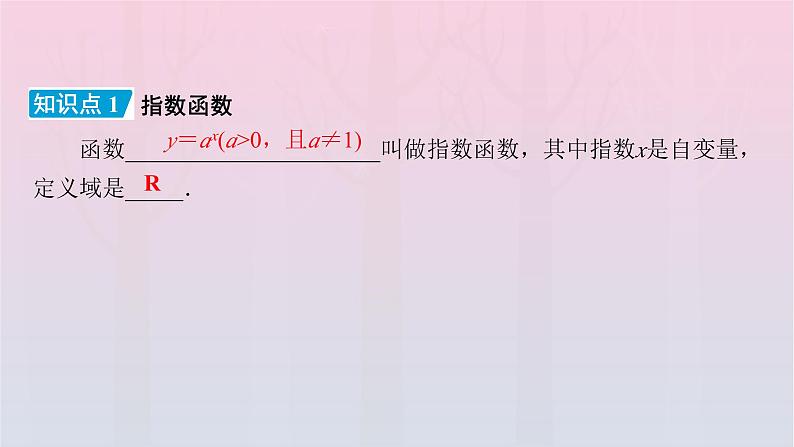 新教材2023年高中数学第4章指数函数与对数函数4.2指数函数4.2.1指数函数的概念课件新人教A版必修第一册第7页