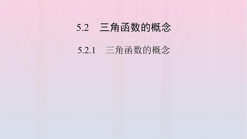 新教材2023年高中数学第5章三角函数5.2三角函数的概念5.2.1三角函数的概念第1课时三角函数的概念一课件新人教A版必修第一册02