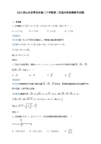 2023届山东省青岛市高三下学期第二次适应性检测数学试题含解析