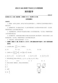 2020届湖北省武汉市高三毕业生五月质量检测数学（理）试题 PDF版