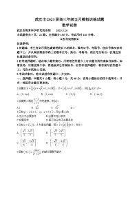 湖北省武汉市2023届高三5月模拟训练数学试题