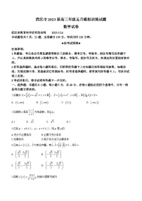 湖北省武汉市2023届高三5月模拟训练数学试题及答案