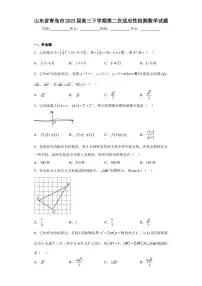 山东省青岛市2023届高三下学期第二次适应性检测数学试题（含答案解析）