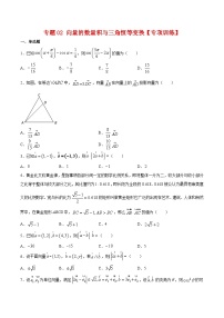 专题02 向量的数量积与三角恒等变换（专题练习）——高一数学下学期期末专项复习学案+期末模拟卷（人教B版2019）