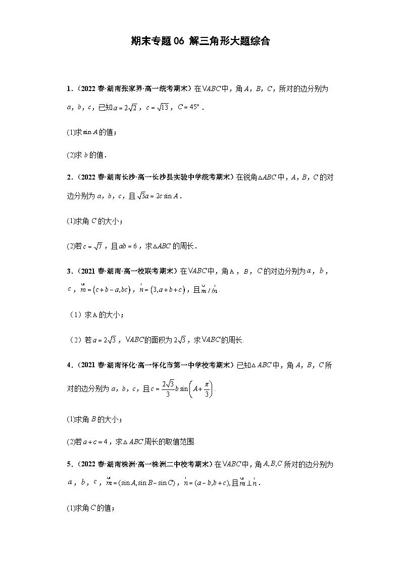 期末专题06 解三角形大题综合-【备战期末必刷真题】高一下学期期末考试真题必刷满分训练（新高考湖南专用）01