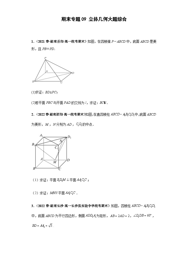 期末专题09 立体几何大题综合-【备战期末必刷真题】高一下学期期末考试真题必刷满分训练（新高考湖南专用）01