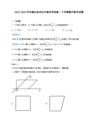 2022-2023学年湖北省武汉外国语学校高一下学期期中数学试题含解析
