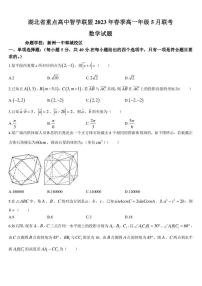 湖北省重点高中智学联盟2022-2023学年高一下学期5月联考数学试题
