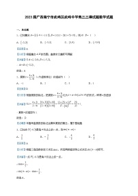 2023届广西南宁市武鸣区武鸣中学高三三模试题数学试题含解析