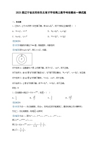 2023届辽宁省沈阳市东北育才学校高三数学考前最后一模试题含解析